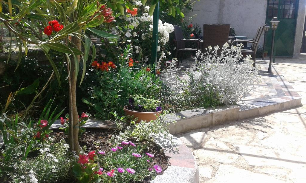 Apartments"Nika" With Private Pool Galovac  外观 照片