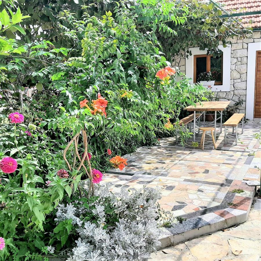 Apartments"Nika" With Private Pool Galovac  外观 照片