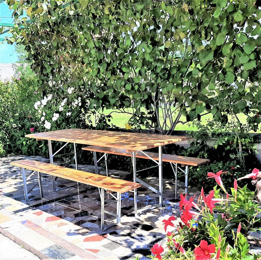 Apartments"Nika" With Private Pool Galovac  外观 照片